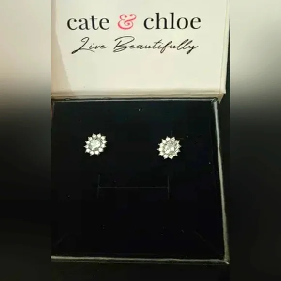Cate and Chloe Sage 18k White Gold Plated Stud Earrings - Picture 6 of 6